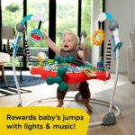 Baby Einstein Ocean Explorers Airplane Adventure 2-in-1 Interactive Baby Jumper