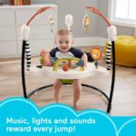 Fisher-Price Baby Bouncer